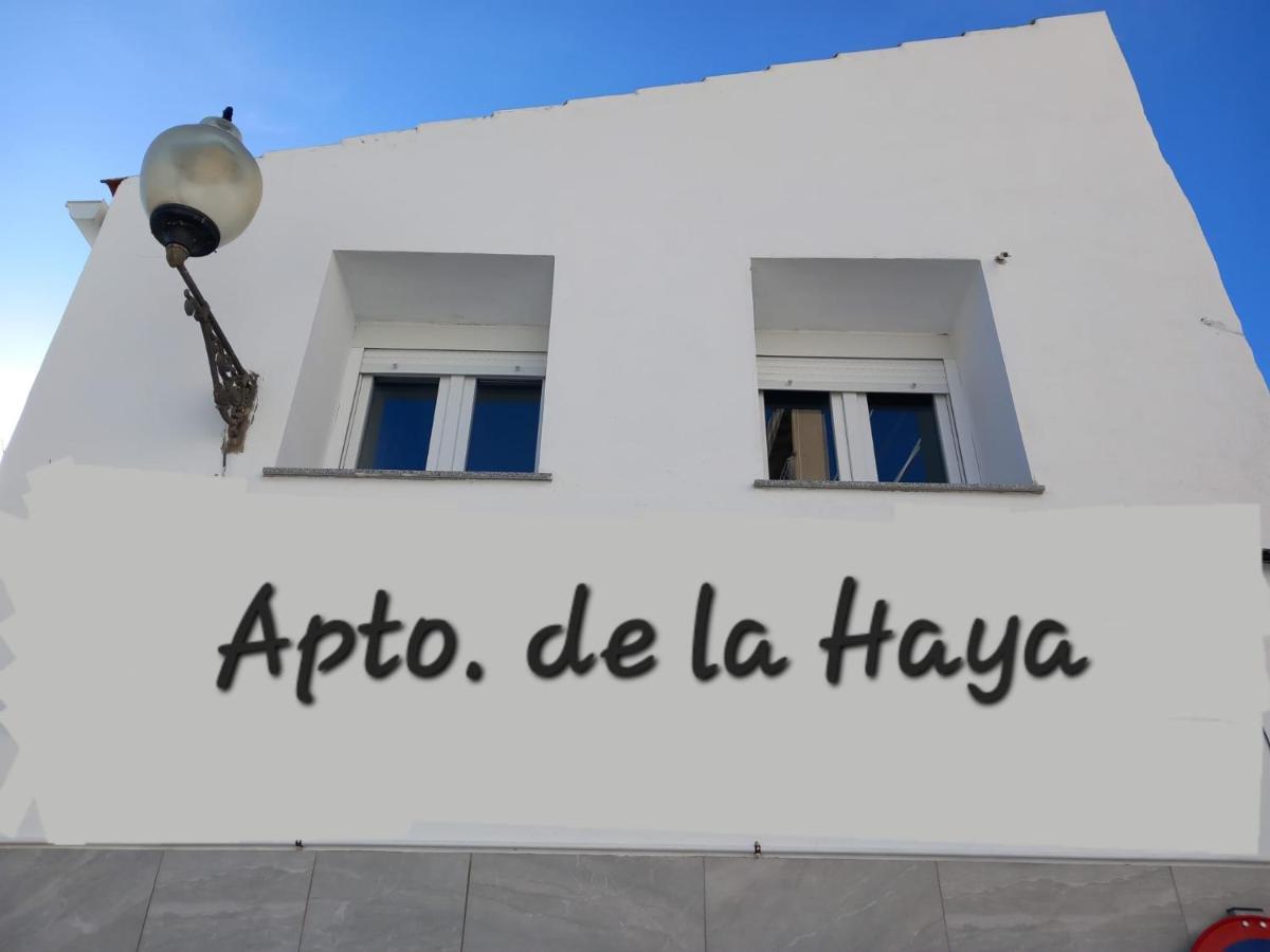 梅里达Apartamento De La Haya, Junto Al Teatro Romano公寓 外观 照片